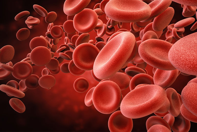 blood cells graphic